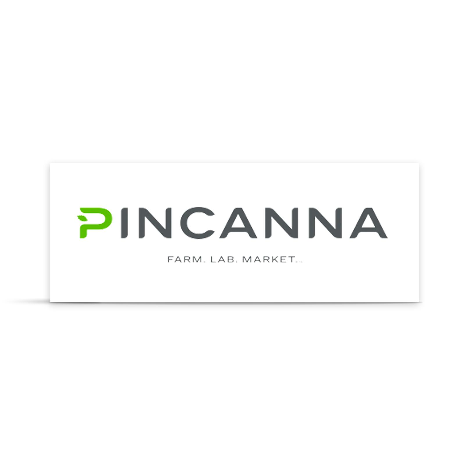 Pincanna