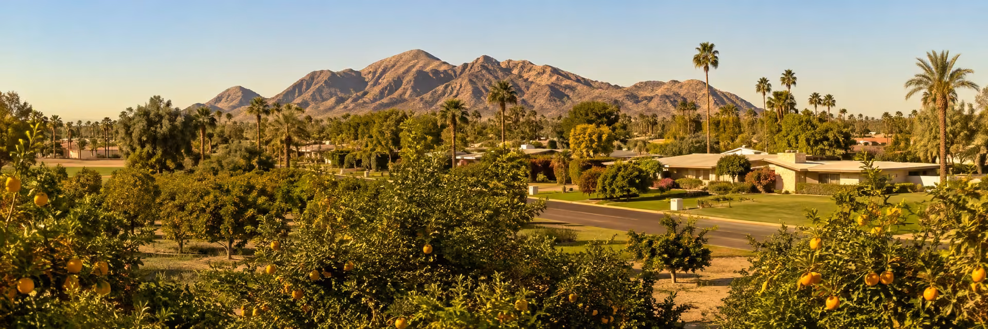 Arcadia Phoenix Citrus-Growing History Historic citrus groves and irrigation canal in Arcadia, Phoenix, beneath Camelback Mountain