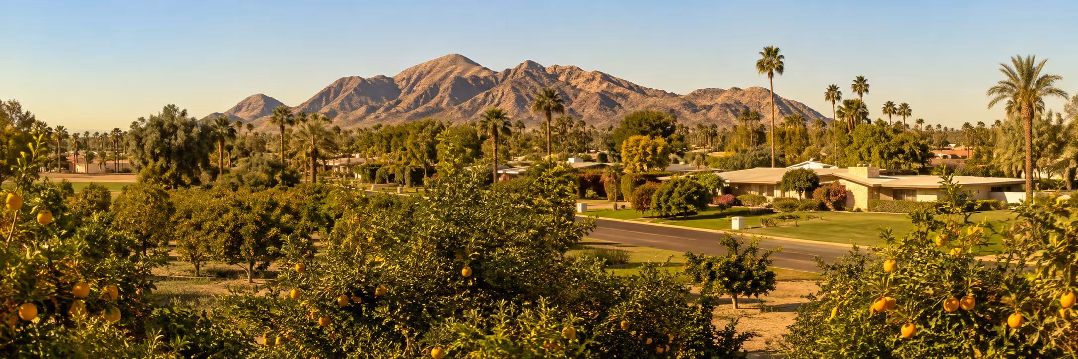 Arcadia Phoenix Citrus-Growing History Historic citrus groves and irrigation canal in Arcadia, Phoenix, beneath Camelback Mountain