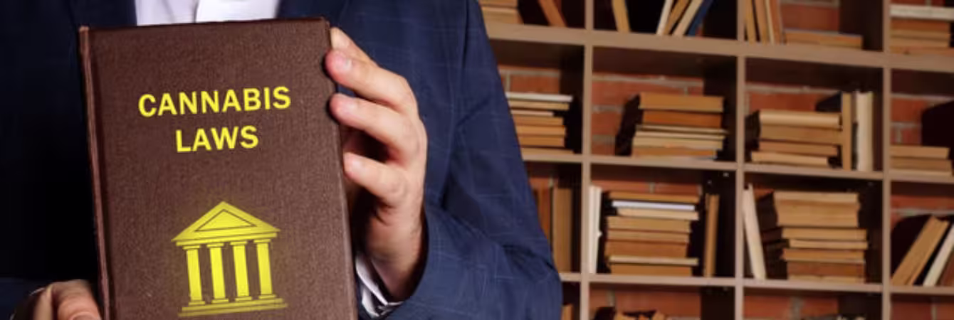 Cannabis Laws and Safe Use in North Phoenix, AZ Cannabis Laws and Safe Use in North Phoenix, AZ