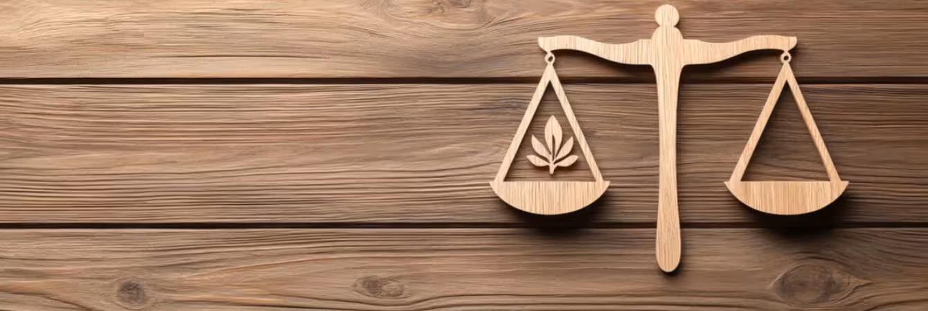 Cannabis Laws in Center Line, Michigan Explained Simply Cannabis Laws in Center Line, Michigan Explained Simply