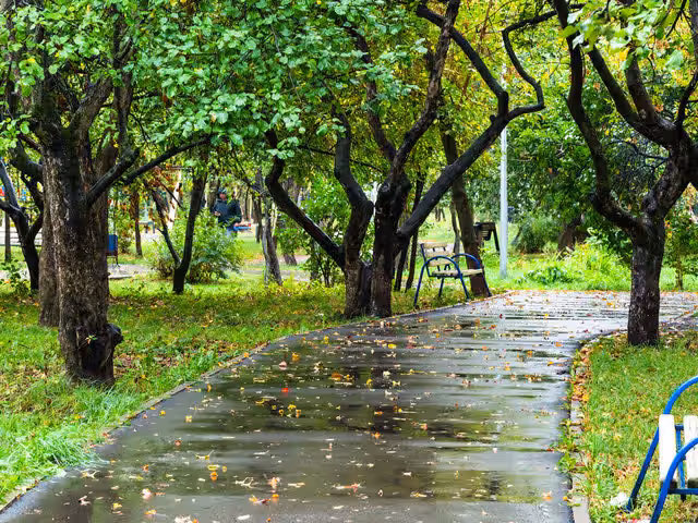 17 Best Things to Do on a Rainy Day in Ann Arbor, Michigan Best Things to Do on a Rainy Day in Ann Arbor, Michigan