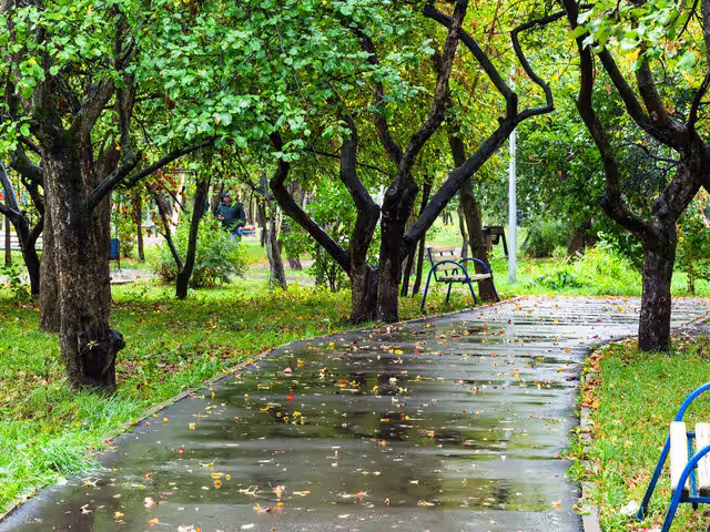 17 Best Things to Do on a Rainy Day in Ann Arbor, Michigan Best Things to Do on a Rainy Day in Ann Arbor, Michigan