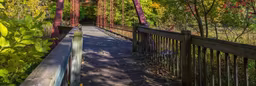 Best Things to Do in Battle Creek After Visiting a Dispensary Best Things to Do in Battle Creek After Visiting a Dispensary