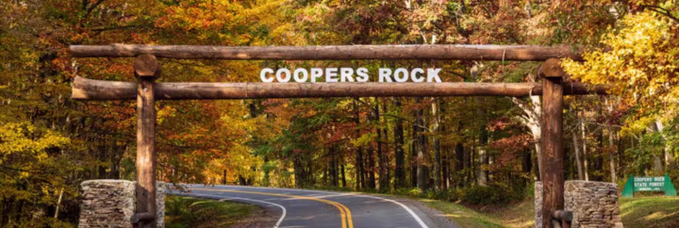 Best Things to Do in Center Line After Visiting a Dispensary Best Things to Do in Center Line After Visiting a Dispensary