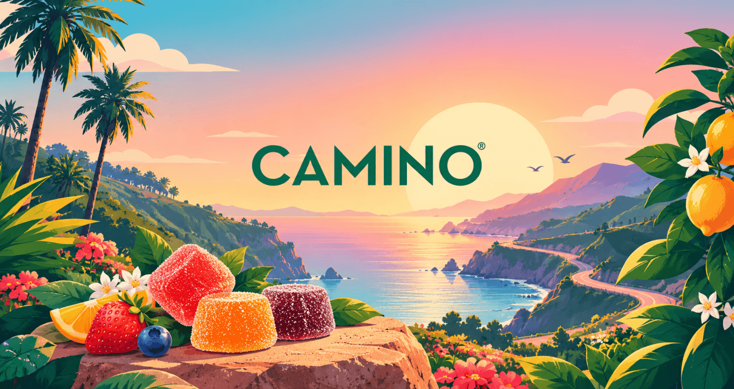 camino FAQs camino FAQs