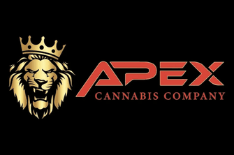 apex official apex official