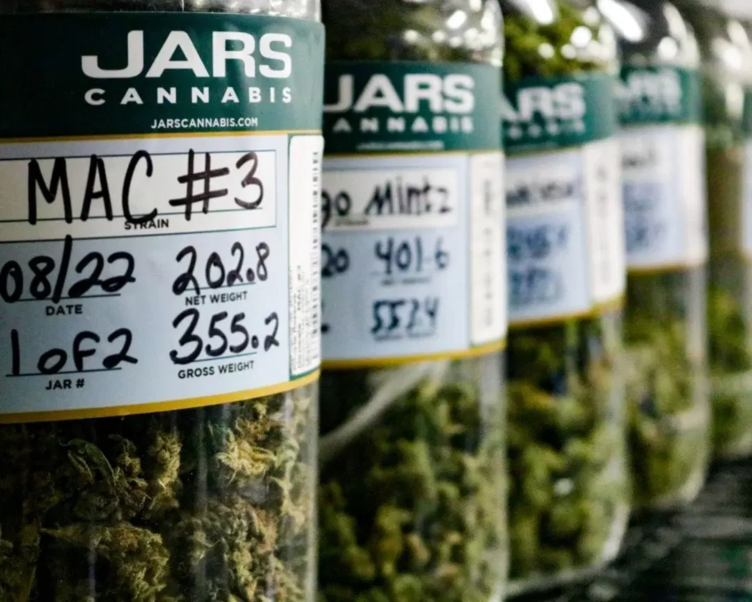 Jars Cannabis Glove Jars Cannabis Glove