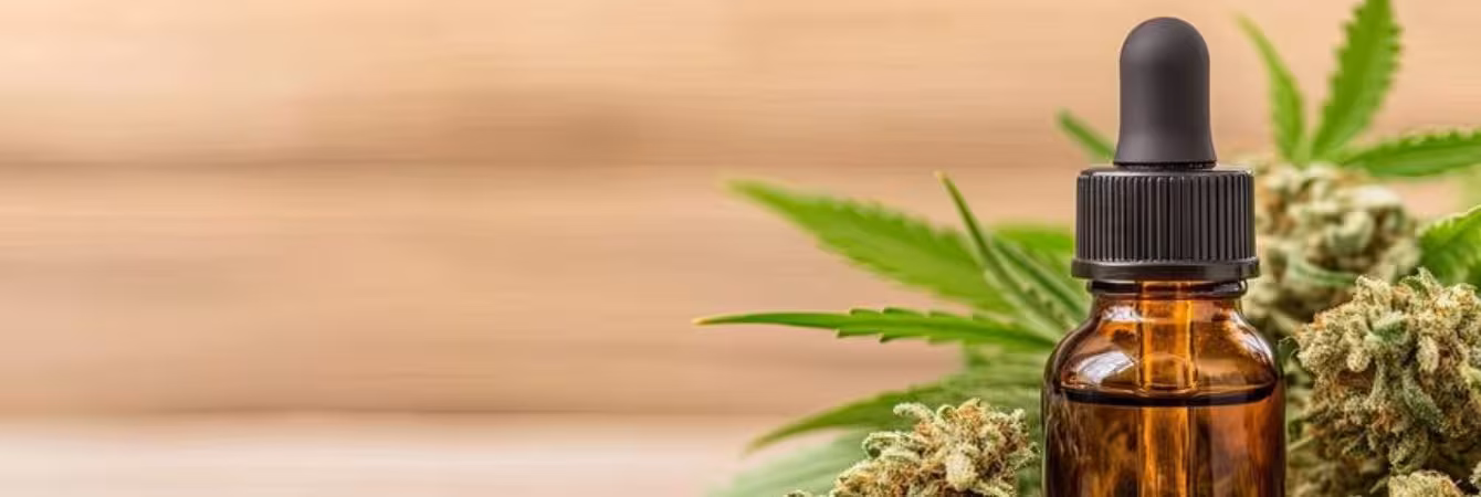 What Is a Cannabis Tincture? THC and CBD Guide Cannabis tincture bottle with dropper showing THC and CBD liquid extract
