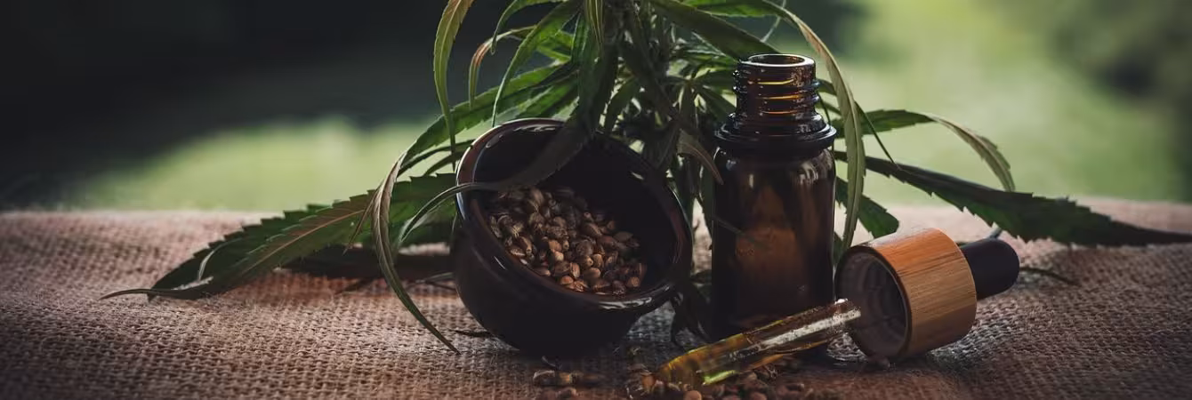 What Is CBD or Cannabidiol? A Beginner’s Guide CBD oil bottle, dropper, hemp seeds, and cannabis leaves