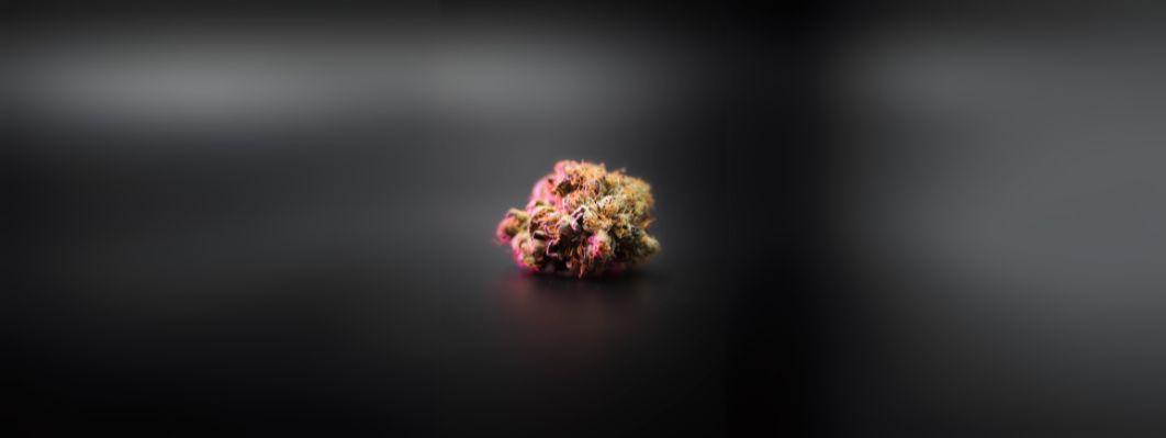 The Chemistry of Cannabis The Chemistry of Cannabis