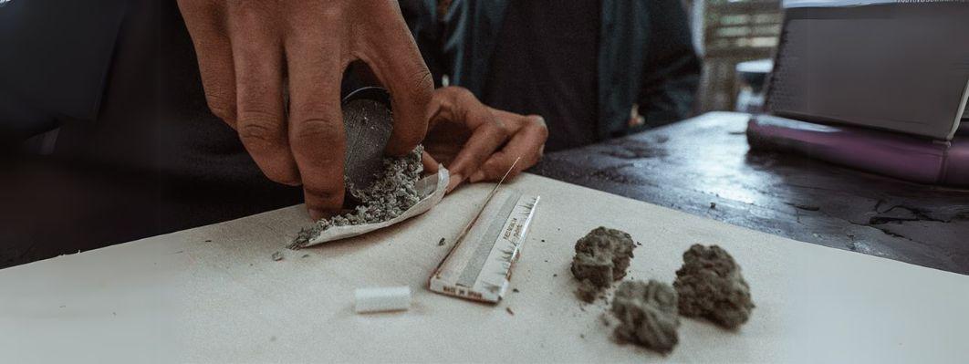 What is sinsemilla weed? What is sinsemilla weed?