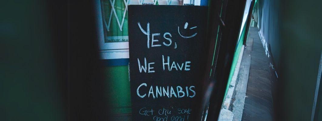 THE BREAKDOWN: BEST CANNABIS STRAINS FOR ANXIETY THE BREAKDOWN: BEST CANNABIS STRAINS FOR ANXIETY