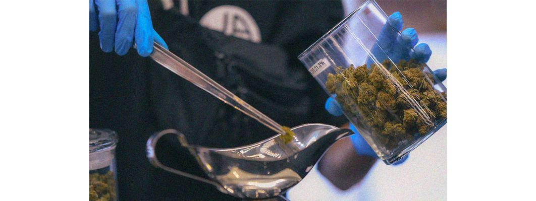 How to Get a Job in the Cannabis Industry How to Get a Job in the Cannabis Industry