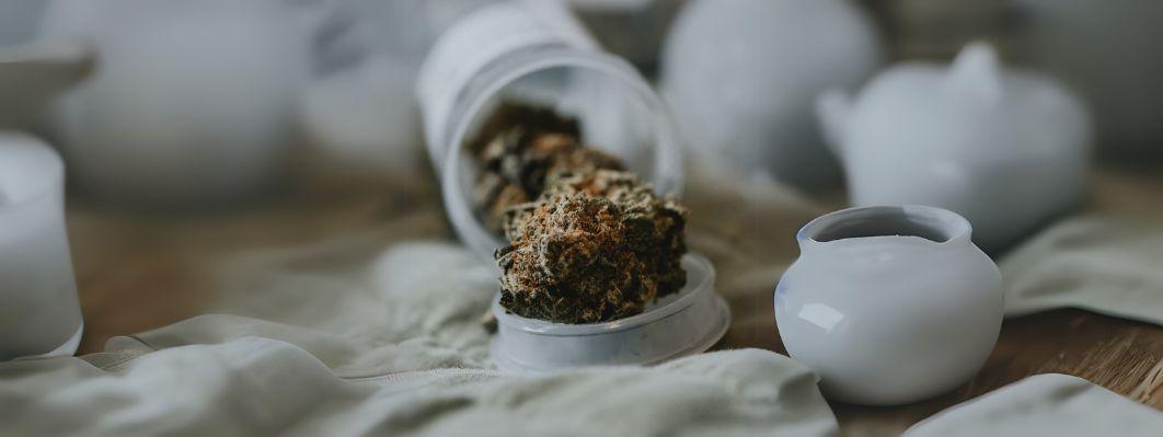 How To Talk To Your Parents About Legal Cannabis How To Talk To Your Parents About Legal Cannabis