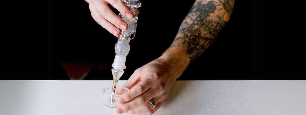 WHAT IS A NECTAR COLLECTOR? WHAT IS A NECTAR COLLECTOR?