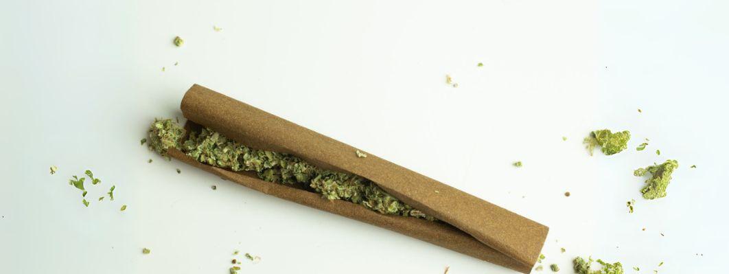 The Art of Smoking Cannabis: Blunts vs Joints The Art of Smoking Cannabis: Blunts vs Joints