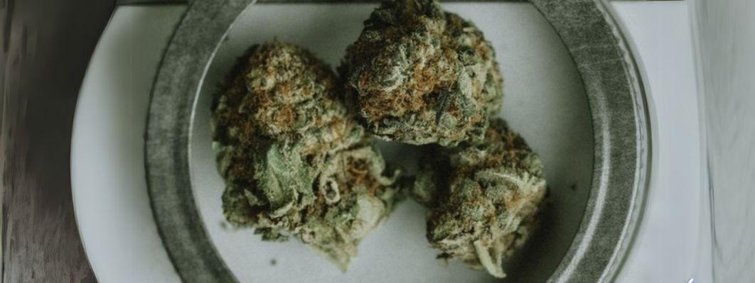 Rare Cannabis Strains you Should Know Rare Cannabis Strains you Should Know