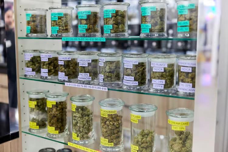 Jars Cannabis - Mile High 3 Jars Cannabis - Mile High 3