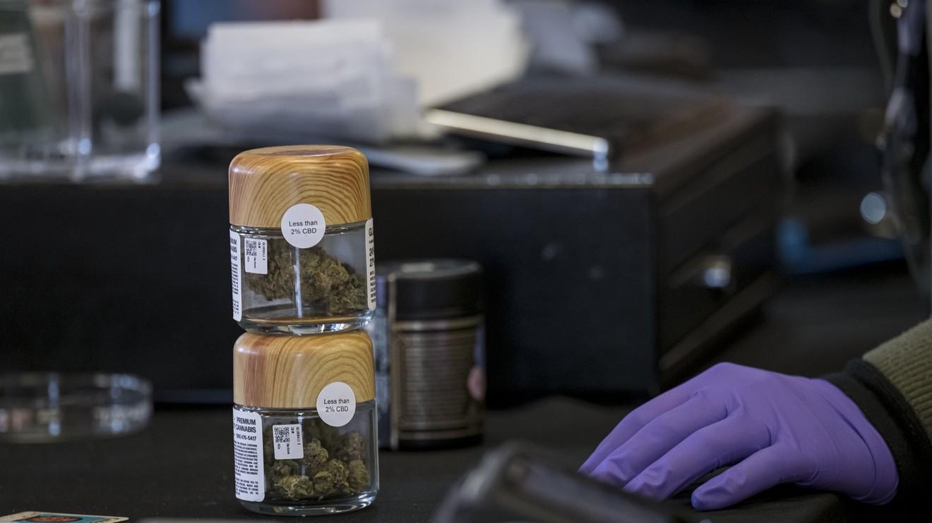 Jars Cannabis - Glove 2 Jars Cannabis - Glove 2