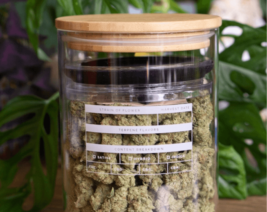 JARS Cannabis - Milan JARS Cannabis - Milan